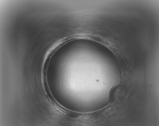 X0000060560294200511101610