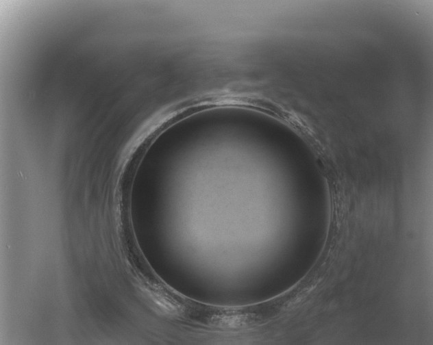 X0000060560295200511101610