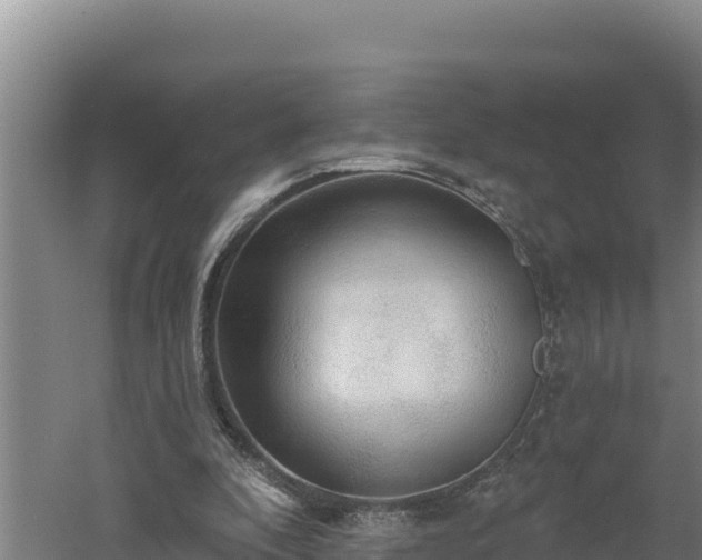 X0000060560296200511101610