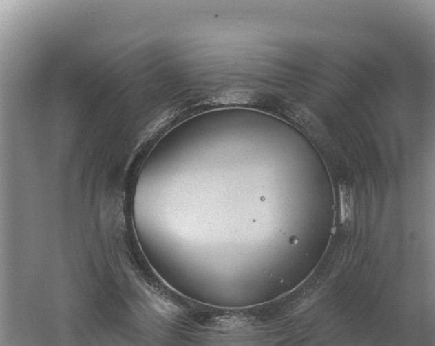 X0000060560300200511101610