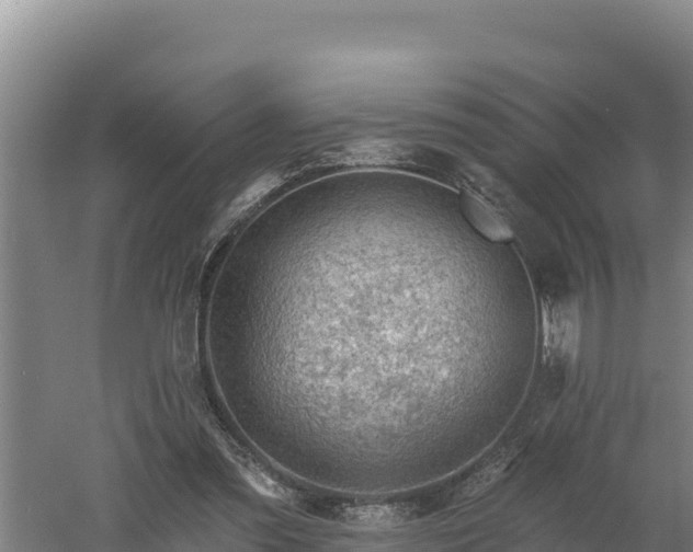 X0000060560301200511101610