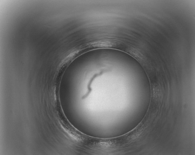 X0000060560302200511101610