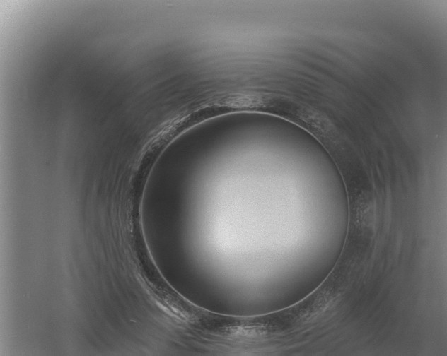 X0000060560303200511101610