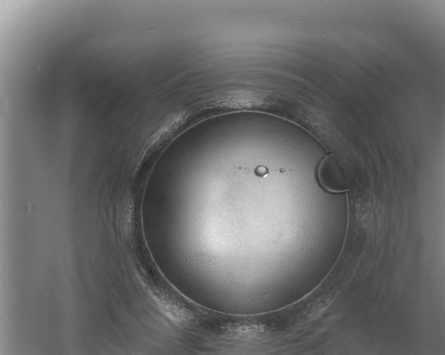 X0000060560304200511101610