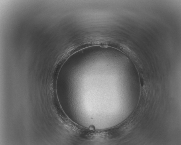 X0000060560306200511101610