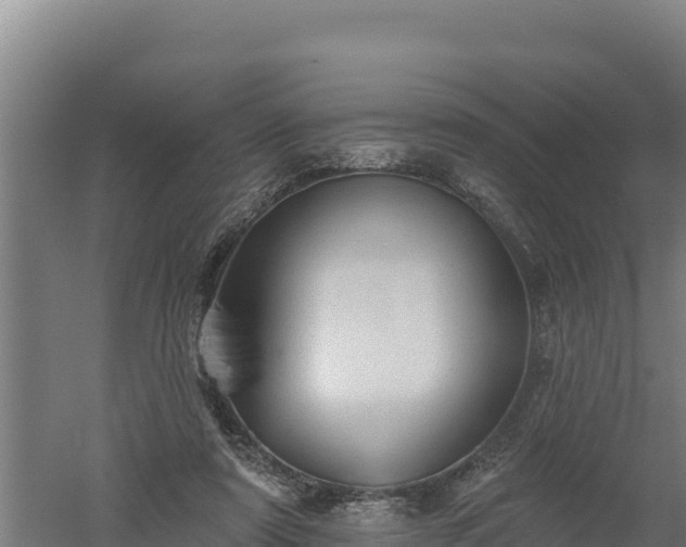 X0000060560307200511101610