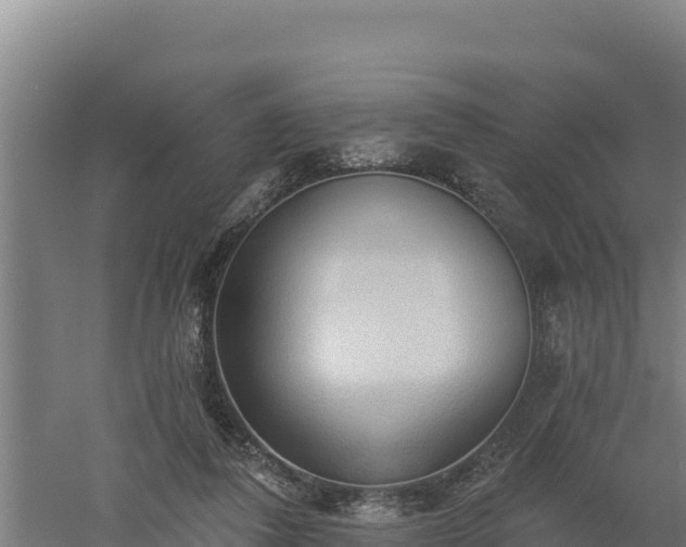 X0000060560308200511101610