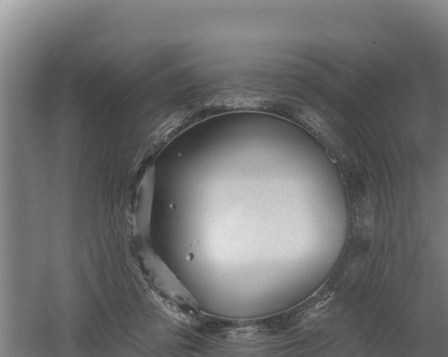 X0000060560309200511101610