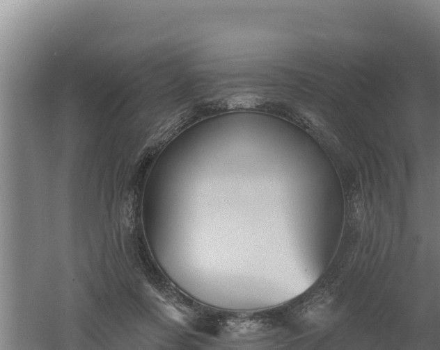 X0000060560311200511101610