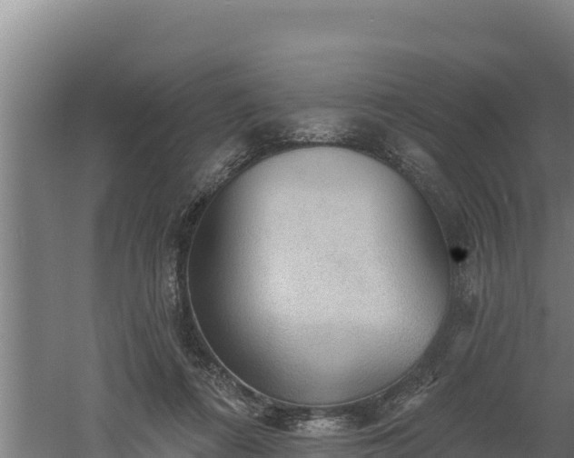 X0000060560312200511101610