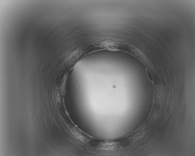 X0000060560313200511101610