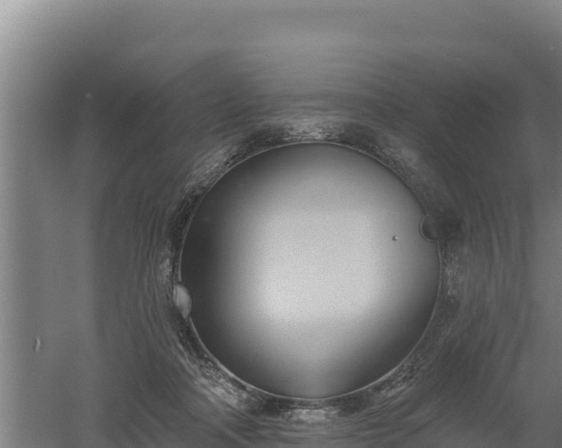 X0000060560314200511101610