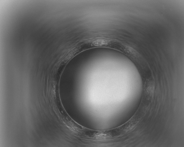 X0000060560315200511101610