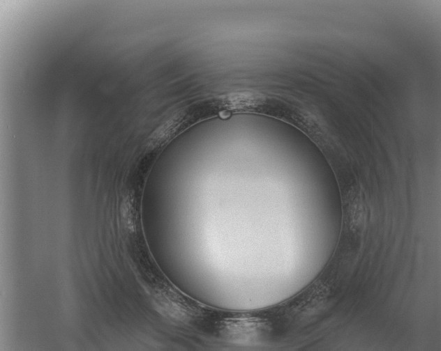 X0000060560316200511101610