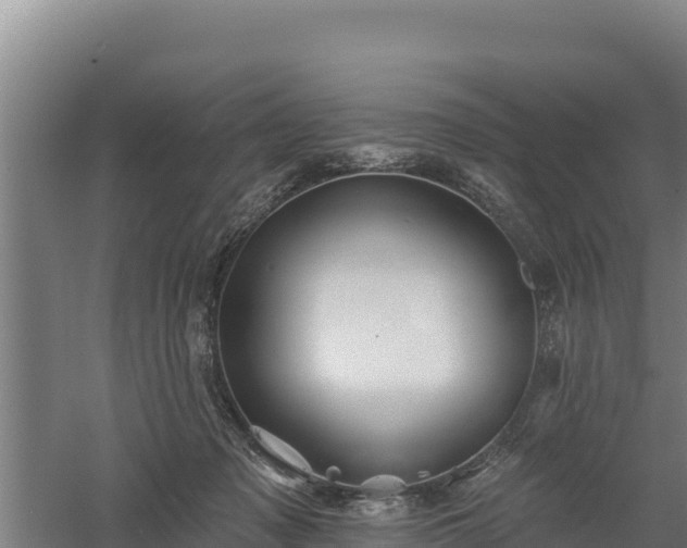 X0000060560317200511101610