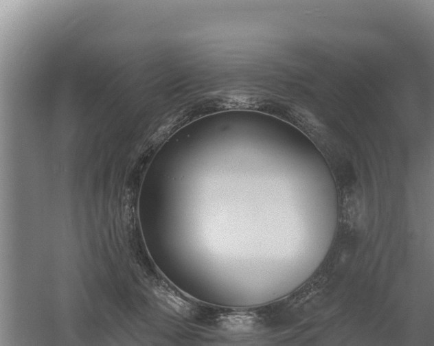 X0000060560318200511101610