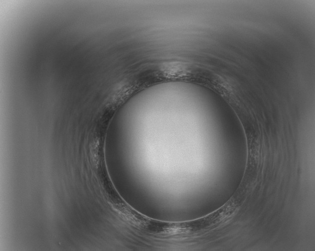 X0000060560319200511101610