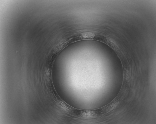 X0000060560321200511101610