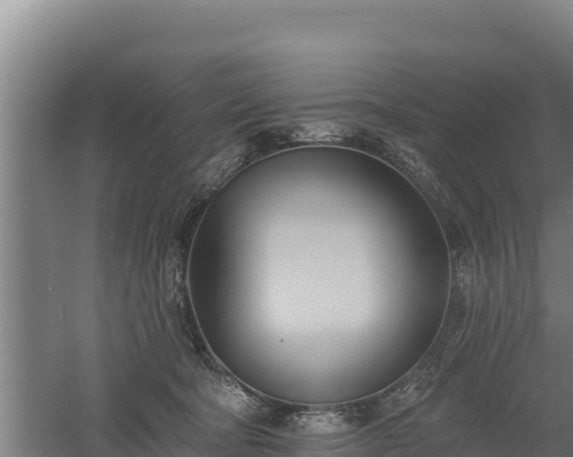 X0000060560322200511101610