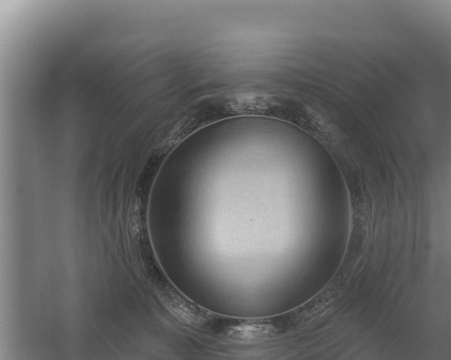 X0000060560323200511101610