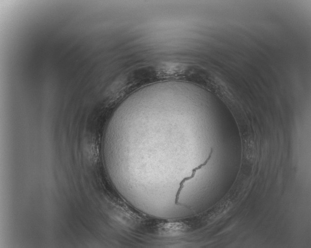 X0000060560324200511101610