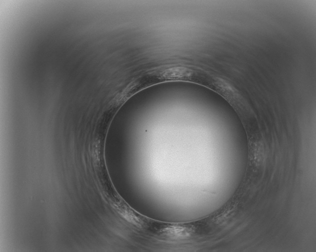 X0000060560326200511101610