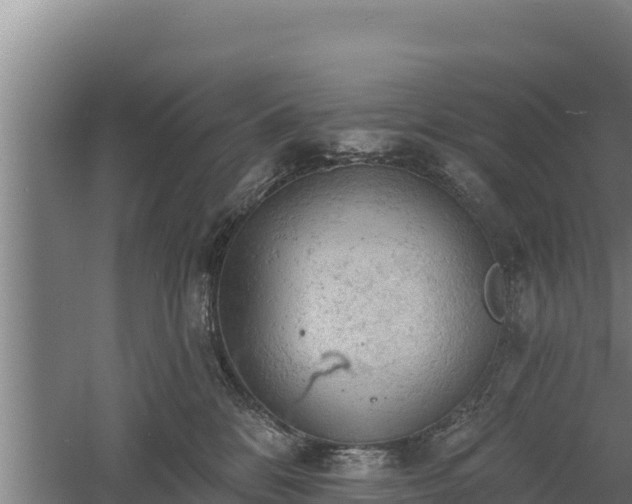 X0000060560328200511101610