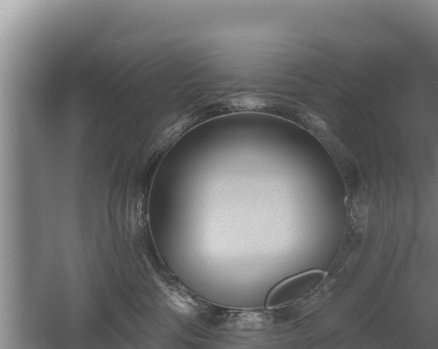 X0000060560330200511101610