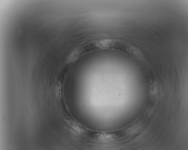 X0000060560332200511101610