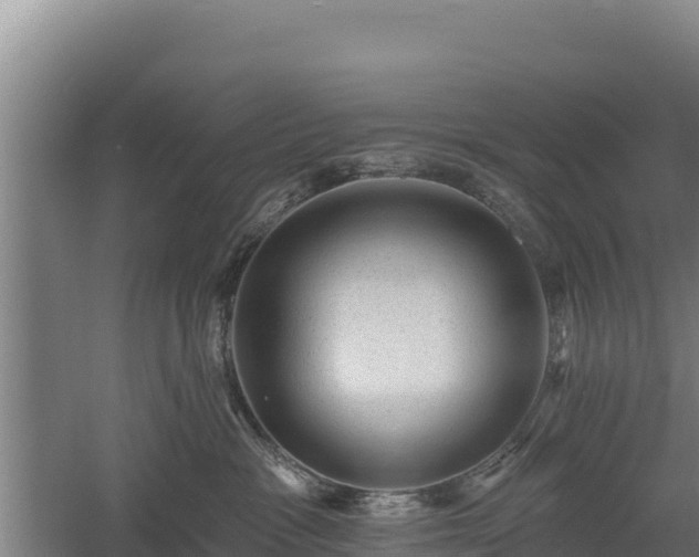 X0000060560333200511101610