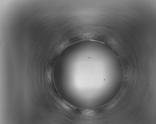 X0000060560334200511101610