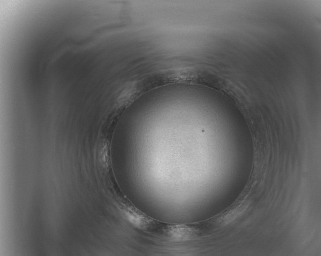 X0000060560336200511101610