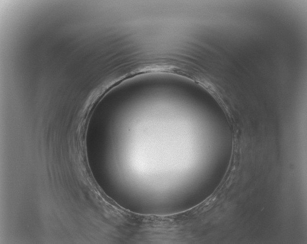 X0000060560337200511101609