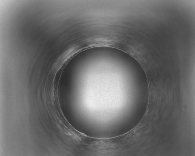 X0000060560338200511101609