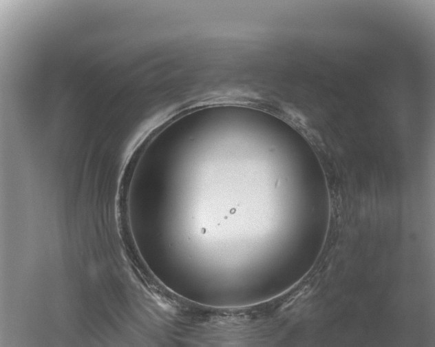 X0000060560340200511101609