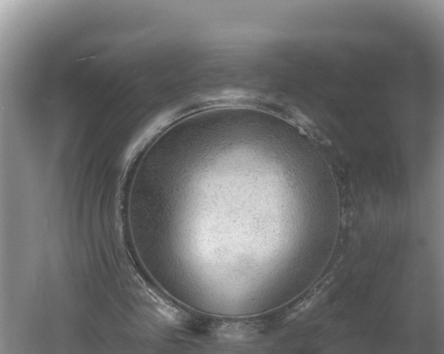 X0000060560341200511101609