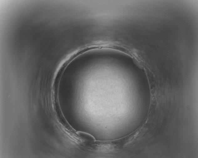 X0000060560342200511101609