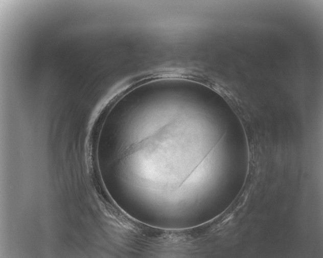 X0000060560343200511101609