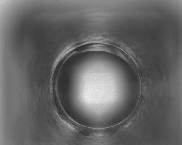 X0000060560344200511101609