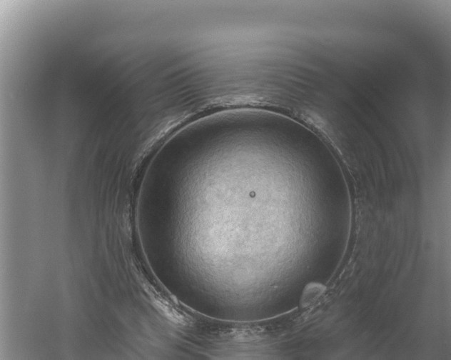 X0000060560345200511101609