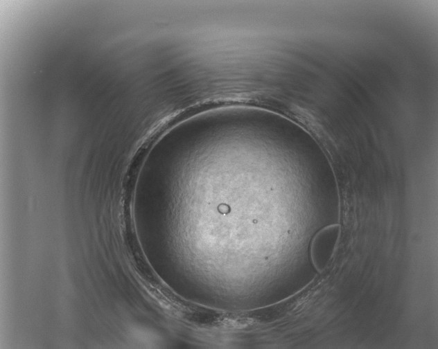 X0000060560346200511101609