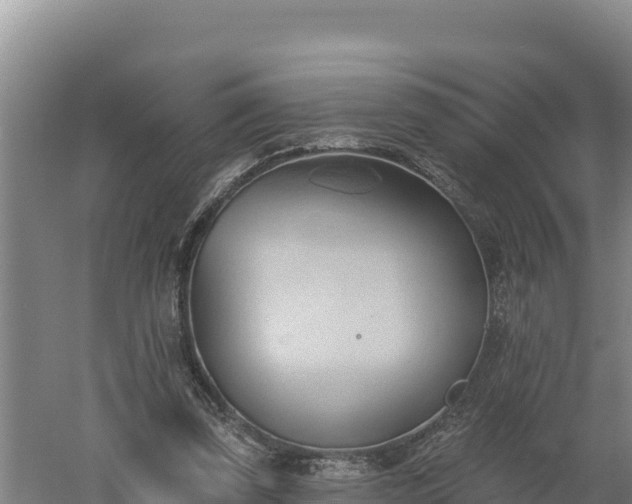 X0000060560347200511101609