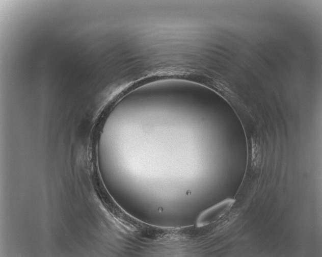 X0000060560348200511101609