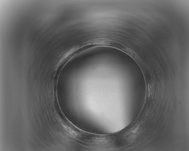 X0000060560349200511101609