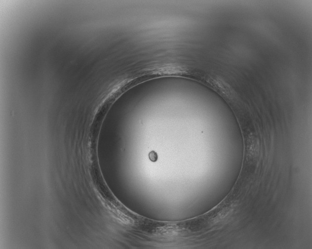 X0000060560351200511101609