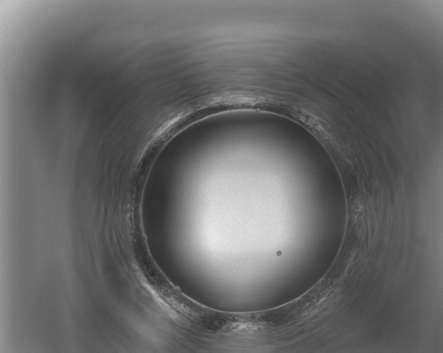 X0000060560352200511101609