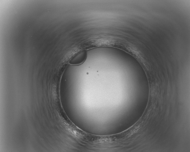 X0000060560353200511101609