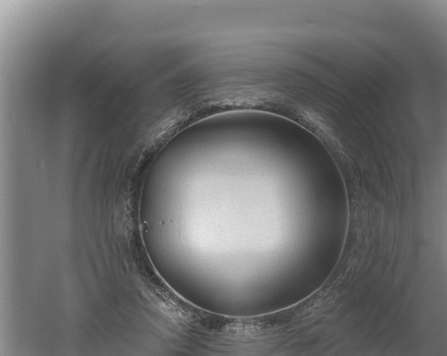 X0000060560354200511101609