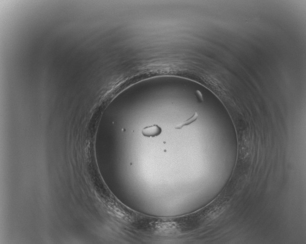 X0000060560355200511101609