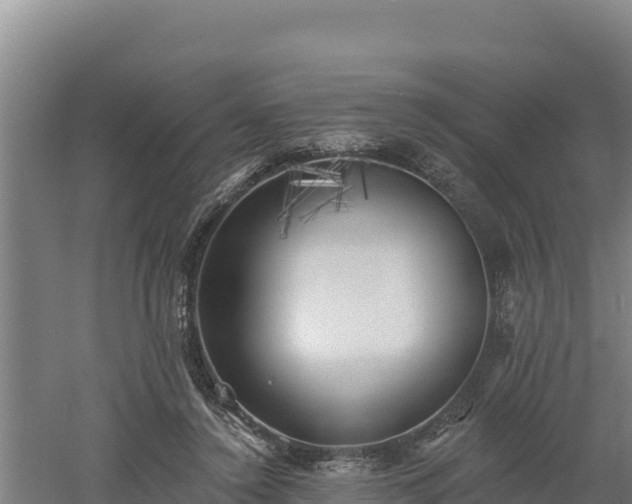 X0000060560356200511101609